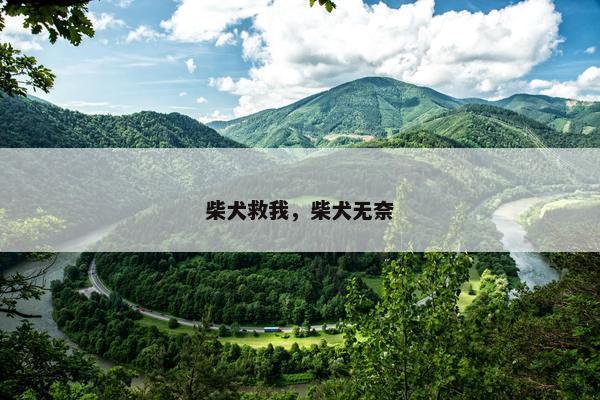 柴犬救我，柴犬无奈