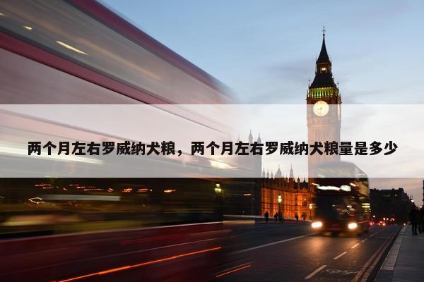 两个月左右罗威纳犬粮，两个月左右罗威纳犬粮量是多少