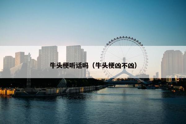 牛头梗听话吗（牛头梗凶不凶）