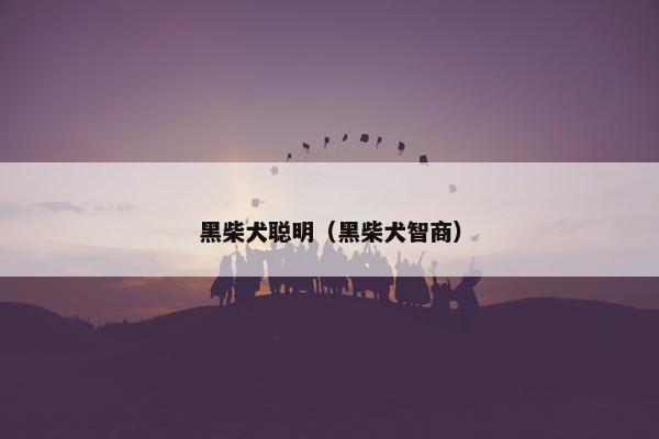黑柴犬聪明（黑柴犬智商）