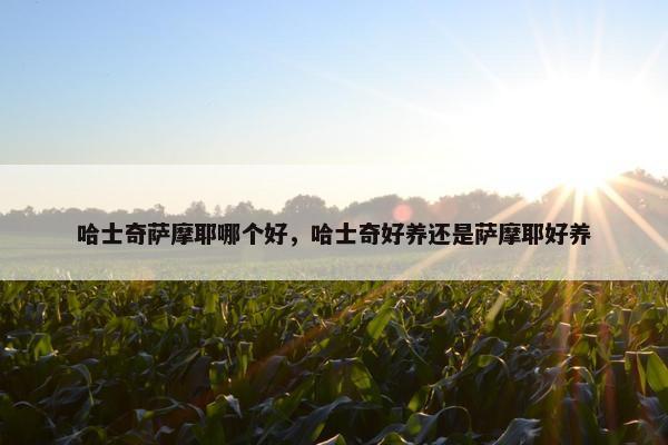 哈士奇萨摩耶哪个好，哈士奇好养还是萨摩耶好养