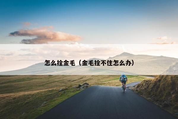 怎么拴金毛（金毛拴不住怎么办）