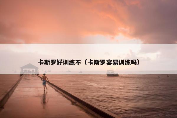 卡斯罗好训练不（卡斯罗容易训练吗）