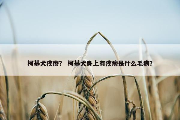 柯基犬疙瘩？ 柯基犬身上有疙痞是什么毛病？