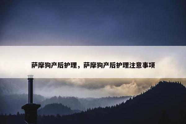 萨摩狗产后护理，萨摩狗产后护理注意事项