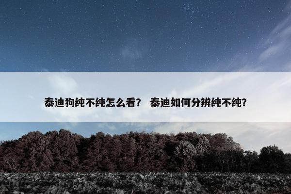 泰迪狗纯不纯怎么看？ 泰迪如何分辨纯不纯？