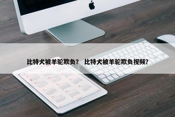 比特犬被羊驼欺负？ 比特犬被羊驼欺负视频？