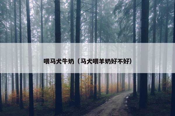 喂马犬牛奶（马犬喂羊奶好不好）