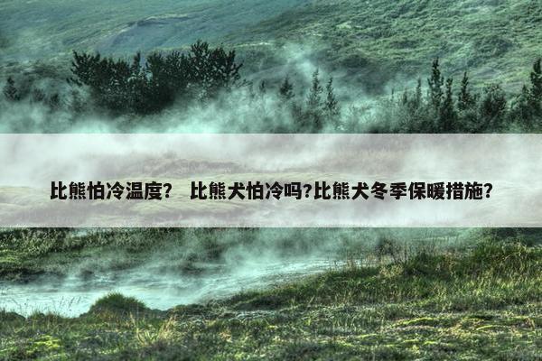 比熊怕冷温度？ 比熊犬怕冷吗?比熊犬冬季保暖措施？