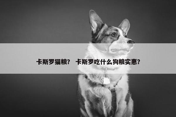 卡斯罗猫粮？ 卡斯罗吃什么狗粮实惠？
