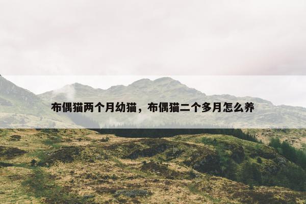 布偶猫两个月幼猫，布偶猫二个多月怎么养