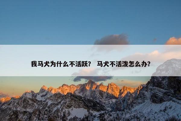 我马犬为什么不活跃？ 马犬不活泼怎么办？