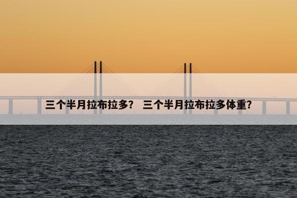 三个半月拉布拉多？ 三个半月拉布拉多体重？
