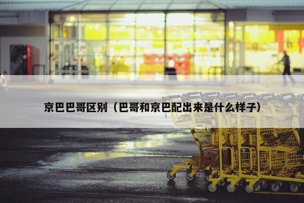 京巴巴哥区别（巴哥和京巴配出来是什么样子）
