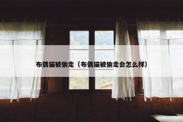 布偶猫被偷走（布偶猫被偷走会怎么样）