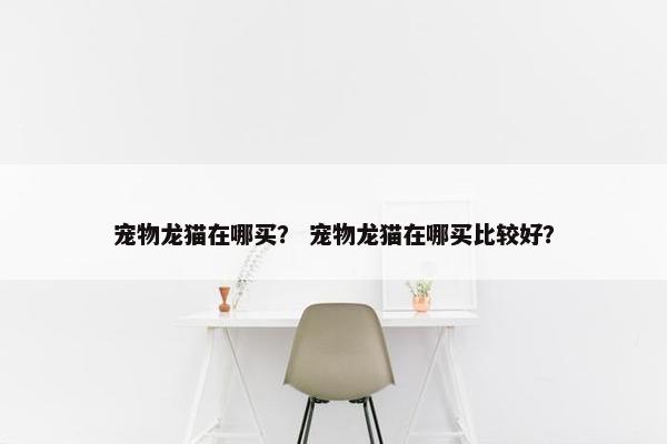 宠物龙猫在哪买？ 宠物龙猫在哪买比较好？