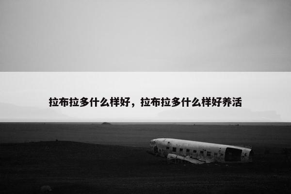 拉布拉多什么样好，拉布拉多什么样好养活