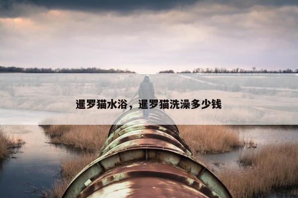 暹罗猫水浴，暹罗猫洗澡多少钱