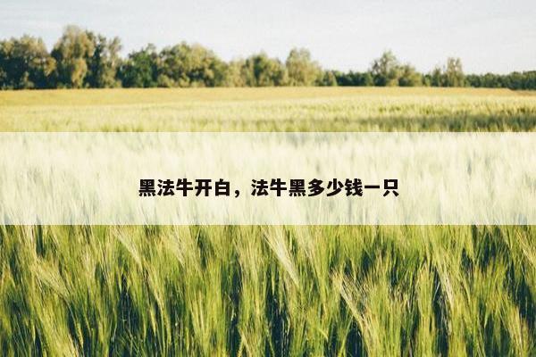 黑法牛开白，法牛黑多少钱一只