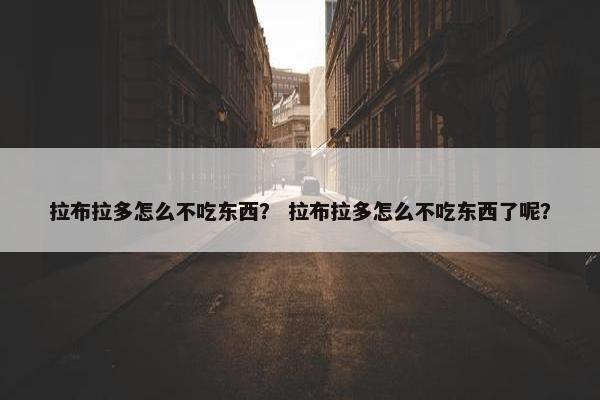 拉布拉多怎么不吃东西？ 拉布拉多怎么不吃东西了呢？