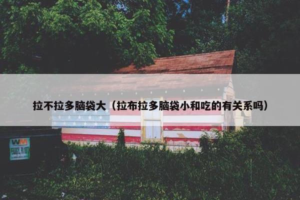 拉不拉多脑袋大（拉布拉多脑袋小和吃的有关系吗）
