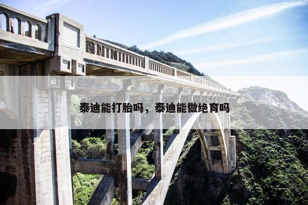泰迪能打胎吗，泰迪能做绝育吗