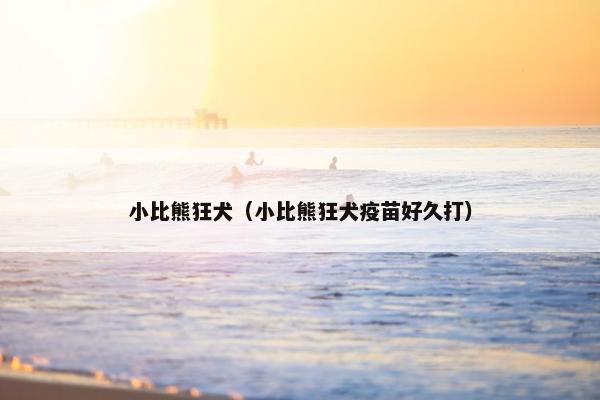 小比熊狂犬（小比熊狂犬疫苗好久打）