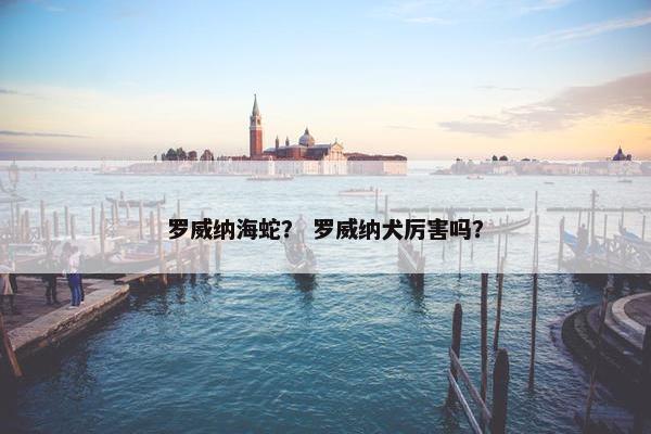 罗威纳海蛇？ 罗威纳犬厉害吗？