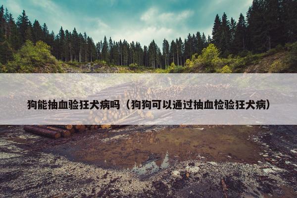 狗能抽血验狂犬病吗（狗狗可以通过抽血检验狂犬病）