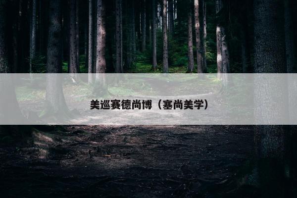 美巡赛德尚博（塞尚美学）