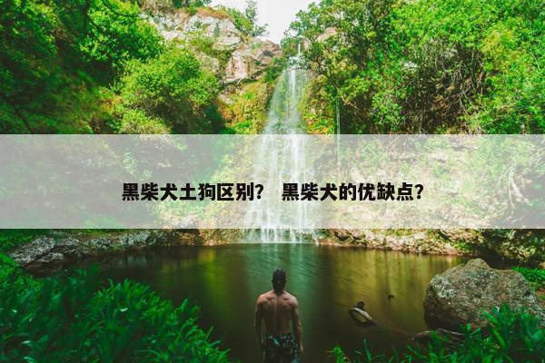 黑柴犬土狗区别？ 黑柴犬的优缺点？