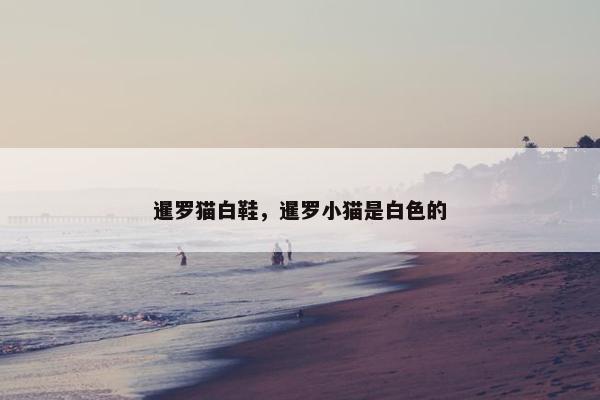 暹罗猫白鞋，暹罗小猫是白色的