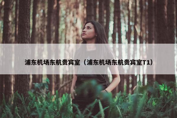 浦东机场东航贵宾室（浦东机场东航贵宾室T1）
