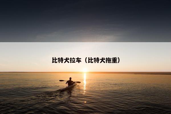 比特犬拉车（比特犬拖重）