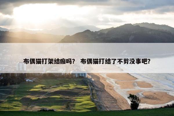 布偶猫打架结痂吗？ 布偶猫打结了不剪没事吧？