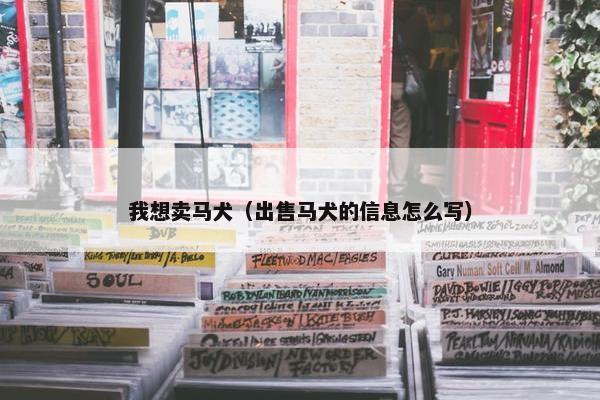 我想卖马犬（出售马犬的信息怎么写）