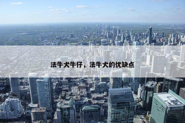 法牛犬牛仔，法牛犬的优缺点