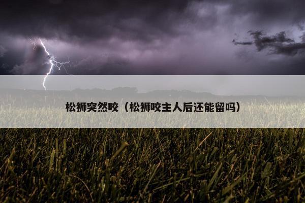 松狮突然咬（松狮咬主人后还能留吗）