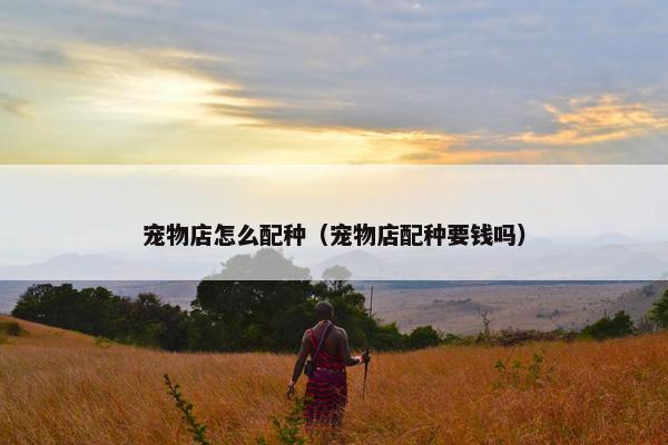 宠物店怎么配种（宠物店配种要钱吗）