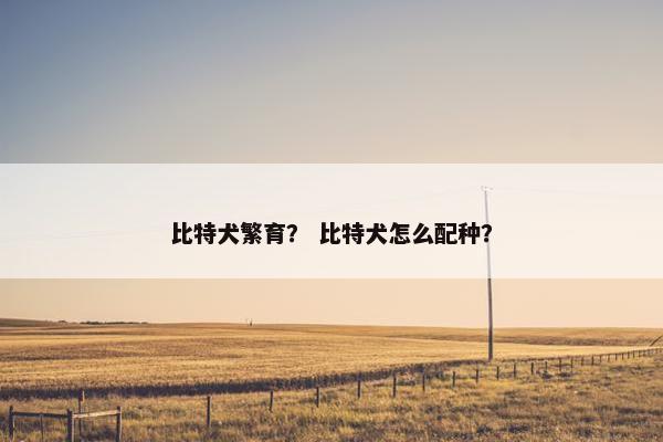 比特犬繁育？ 比特犬怎么配种？
