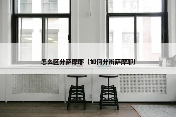 怎么区分萨摩耶（如何分辨萨摩耶）