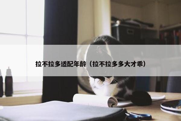 拉不拉多适配年龄（拉不拉多多大才乖）