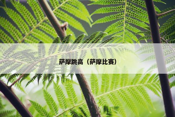 萨摩跳高（萨摩比赛）