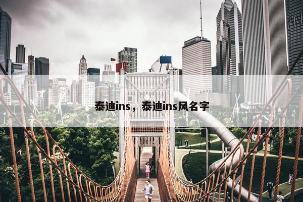 泰迪ins，泰迪ins风名字