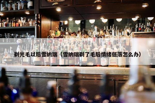 剃光毛以后雪纳瑞（雪纳瑞剃了毛后情绪低落怎么办）