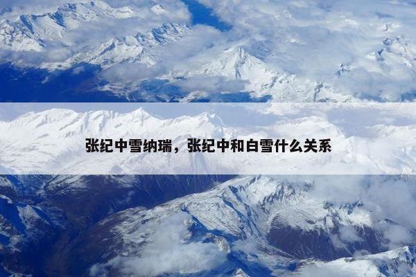 张纪中雪纳瑞，张纪中和白雪什么关系