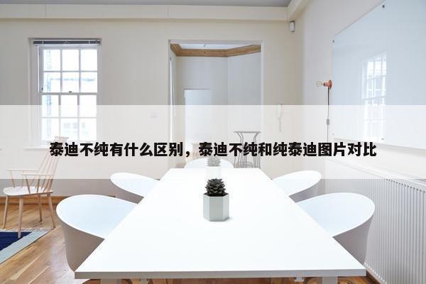 泰迪不纯有什么区别，泰迪不纯和纯泰迪图片对比