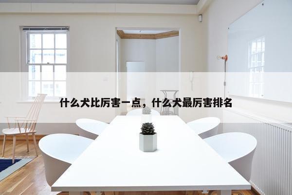 什么犬比厉害一点，什么犬最厉害排名