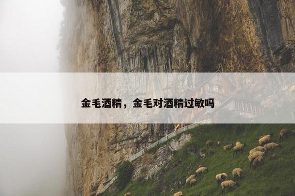 金毛酒精，金毛对酒精过敏吗