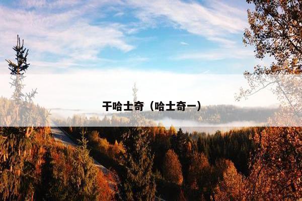干哈士奇（哈士奇一）